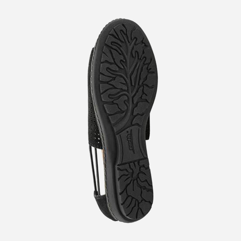 Earth Origins Shelly