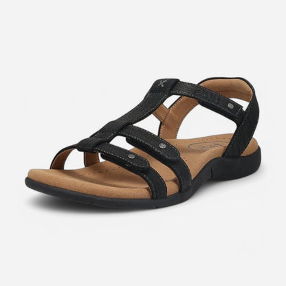 Taos Footwear Trophy 2