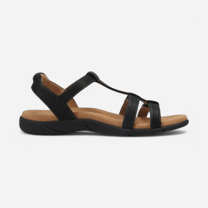 Taos Footwear Trophy 2
